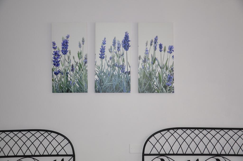 B & B Da Ferro Massarosa Cameră foto