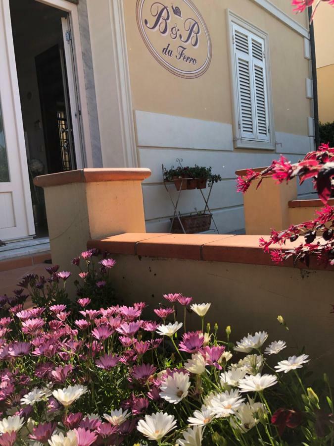 B & B Da Ferro Massarosa Exterior foto